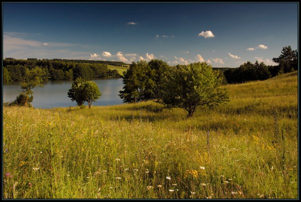 Саранск природа