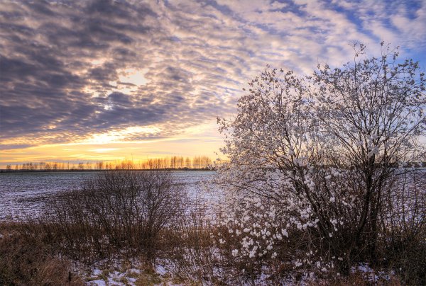 Речка Мокша Мордовия