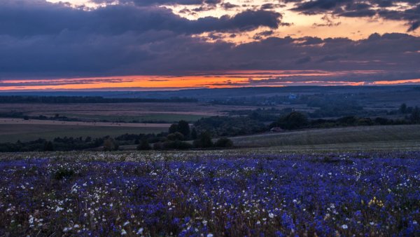 Река Мокша Мордовия пейзаж