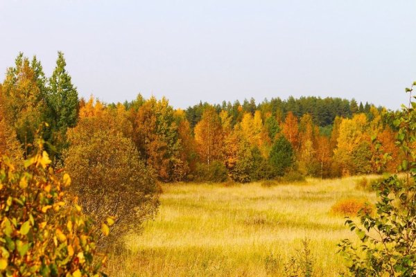 Саранск Мордовский край