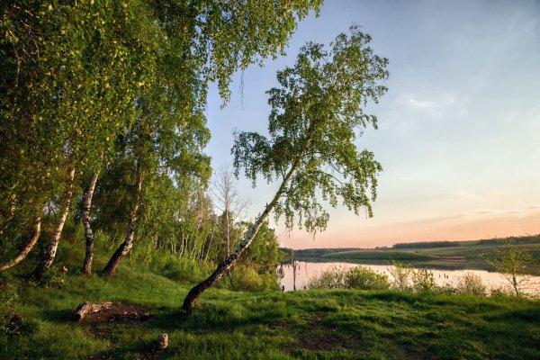 Озеро Ендовище Темников