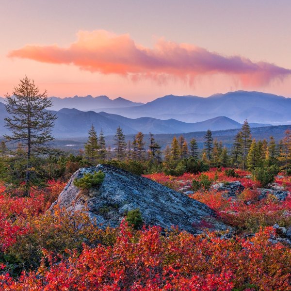 Северный пейзаж