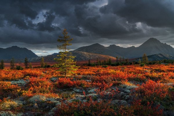 Природа севера России