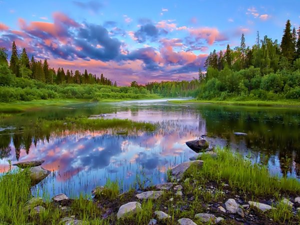 Северная природа Архангельская область