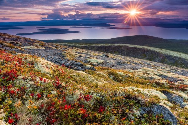 Тундра Кольского полуострова