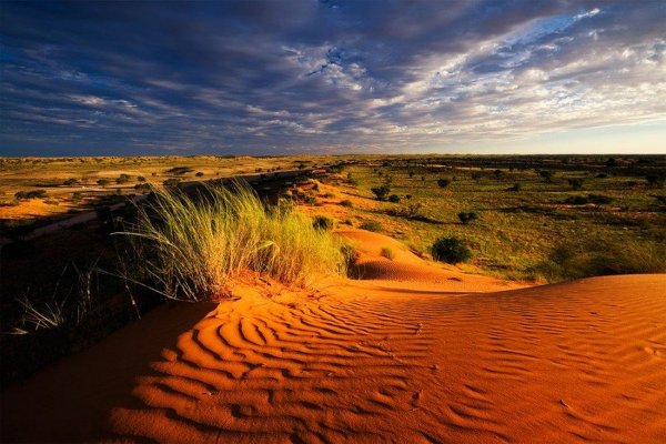 Пустыня Калахари ЮАР