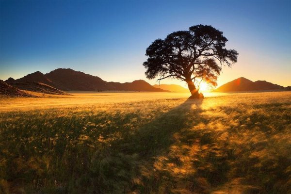 Хоугаард Малан