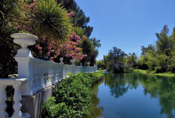 Парк Южные культуры Адлер весной