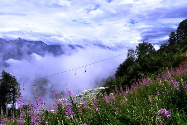 Красивые пейзажи Сочи
