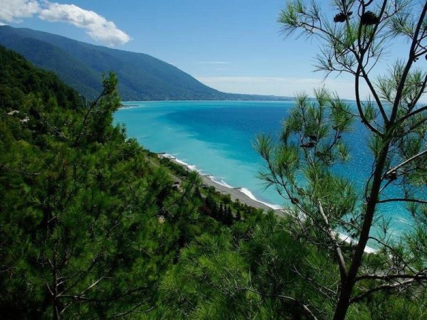 Пицундская бухта Абхазия пляж