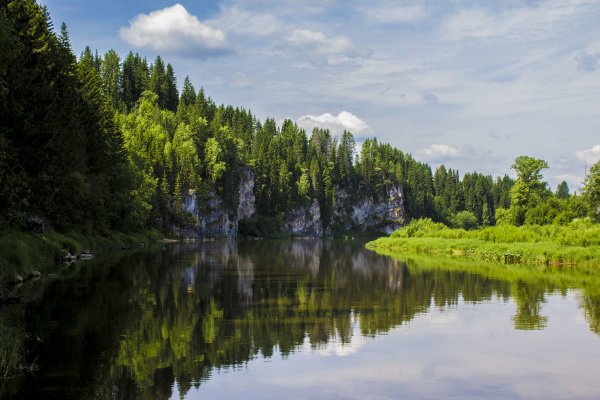 Природа Урала летом в Свердловской области