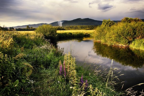 Лето на Южном Урале