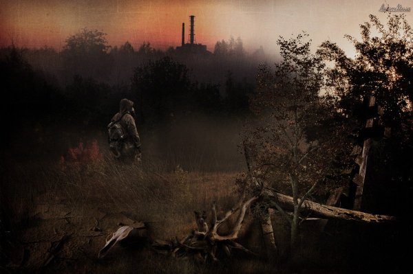 Сталкер Зов Припяти арт