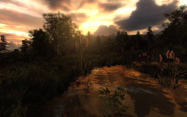 Сталкер лост Альфа локация лес пейзаж