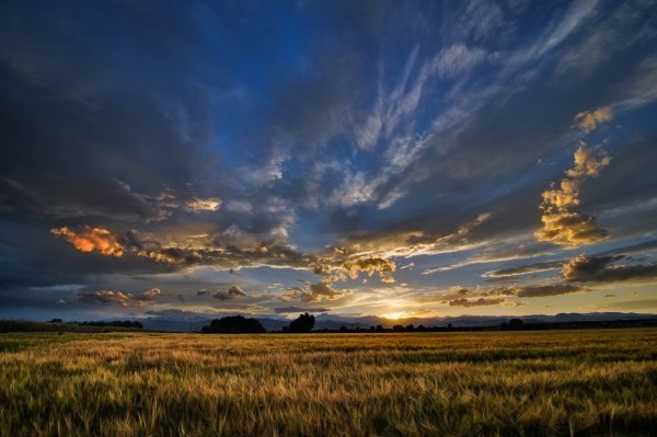 Поле с облаками