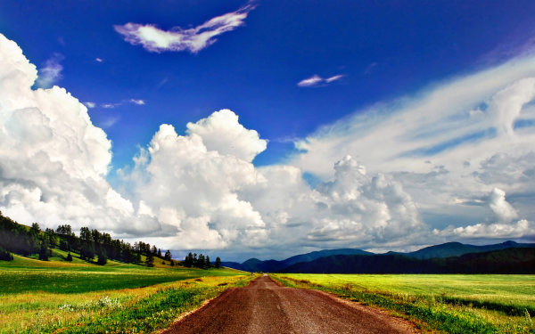 Проселочная дорога уходящая вдаль