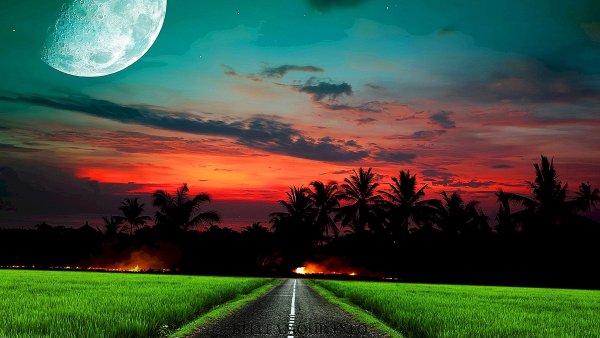 Ночное озеро