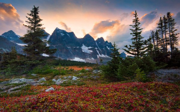 Фотограф Кевин МАКНИЛ Kevin MCNEAL