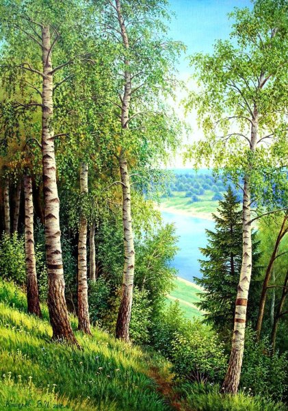 Белорусский художник пейзажист березы