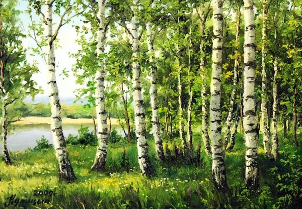 Березовые Рощи Марий Эл