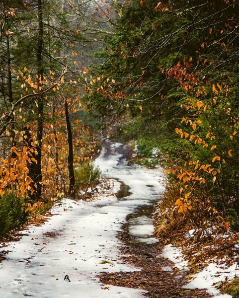 Поздняя осень фото