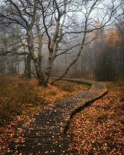 Конец осени