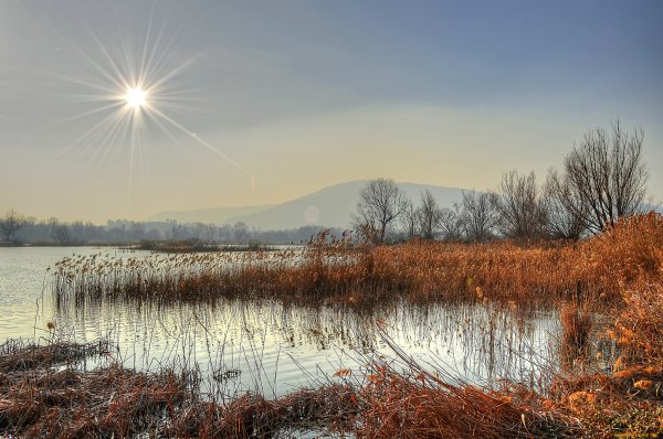 Поздняя осень пейзаж