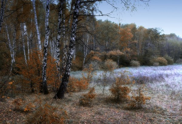Поздняя осень