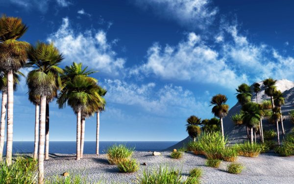 Красивый пляж