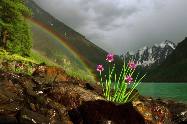 Каракольские озёра горный Алтай