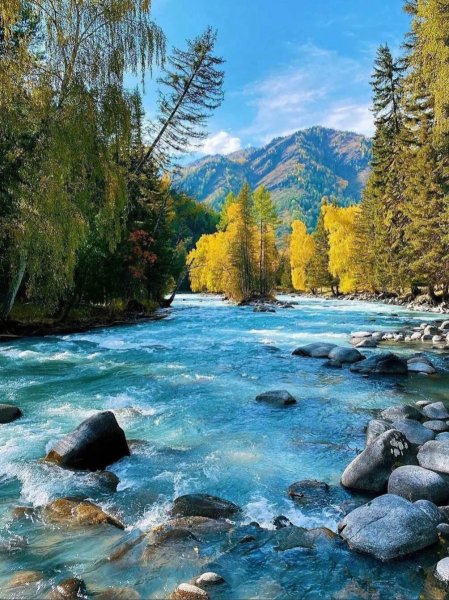 Река Кучерла горный Алтай