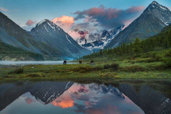 Гора Белуха горный Алтай в хорошем качестве