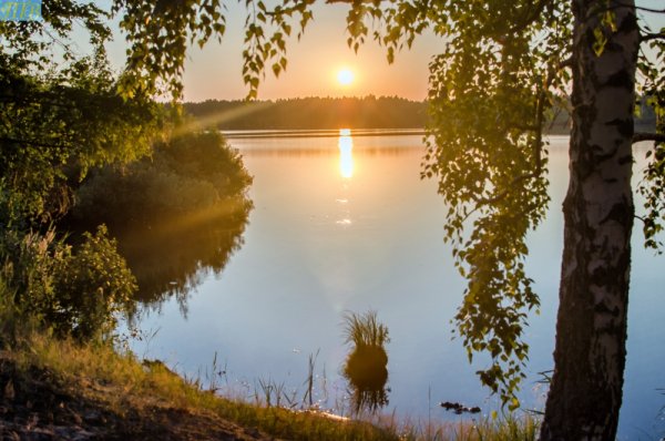 Светлояр озеро Нижегородская область осенью