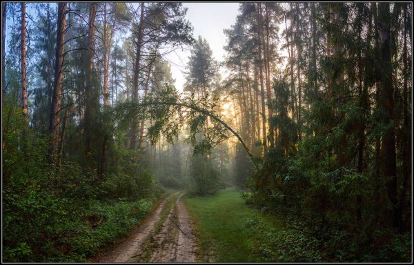Речка Ватома Нижегородская область