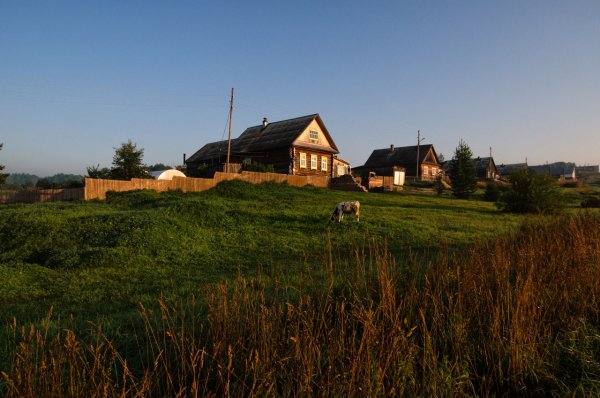 Природа деревня