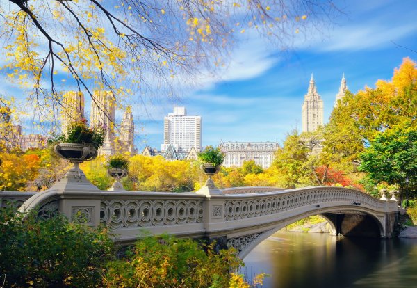 Александр Стародубов городской пейзаж