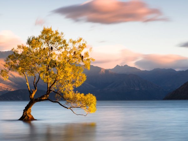 Озеро уанака новая Зеландия