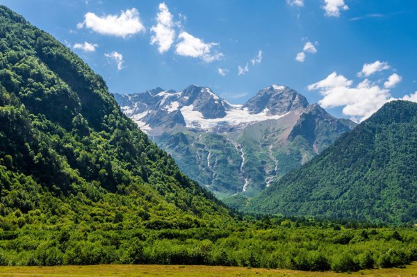 Кавказ Цейское ущелье