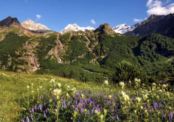 Северная Осетия Алания Дигорское ущелье