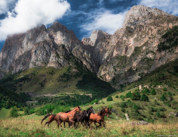 Гора цей-Лоам Ингушетия