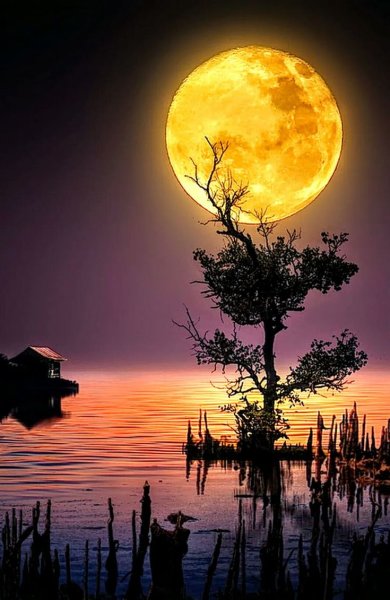 Романтический лунный пейзаж