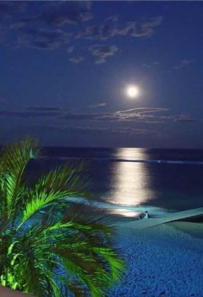 Озеро ночью