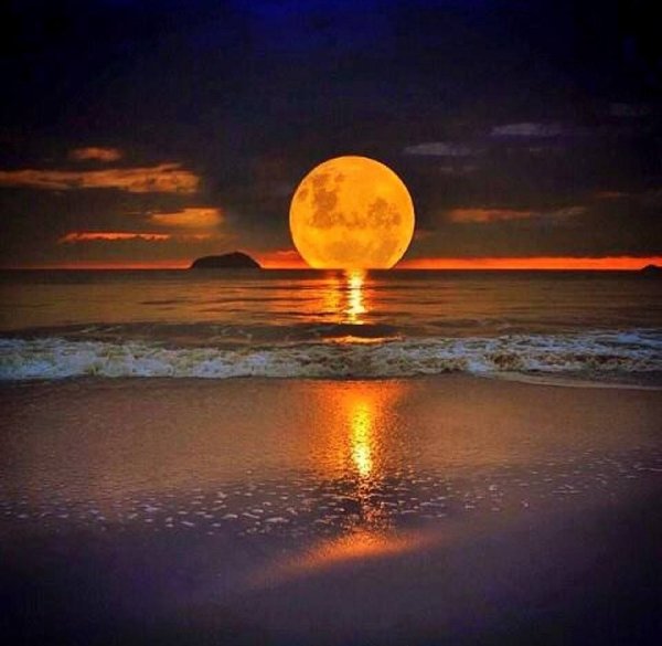 Доброй летней ночи