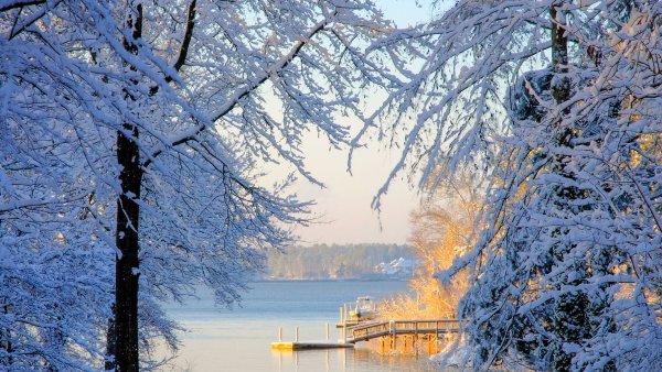 Солнечный зимний день