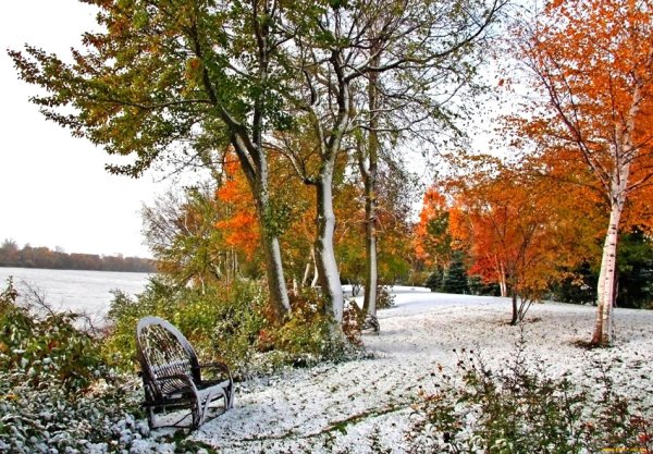 Ранняя зима