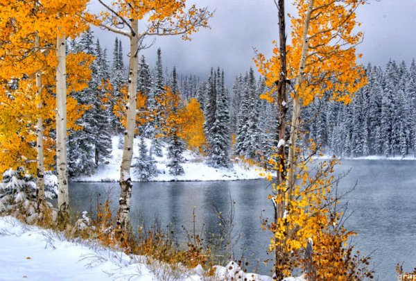 Осень солнце снег