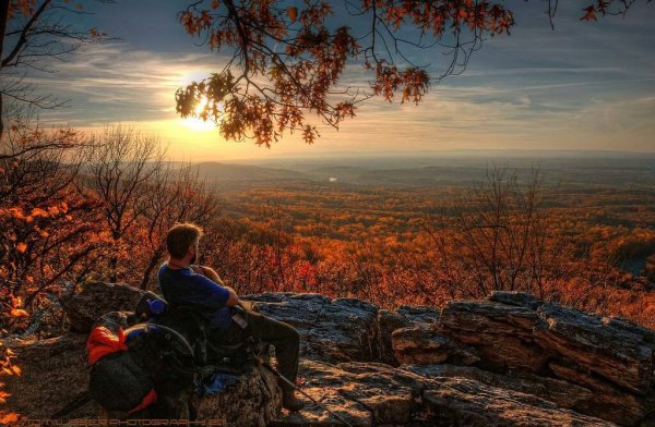 Наедине с природой осень