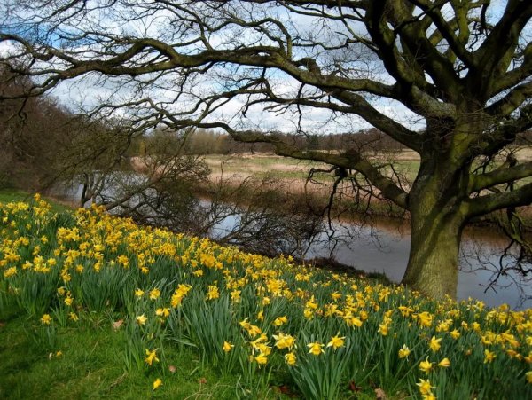 Весна пейзаж