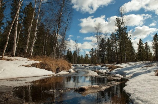 Весенний пейзаж