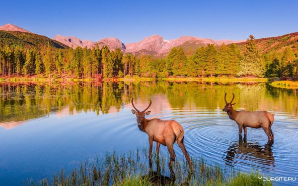 Оленье озеро Канада